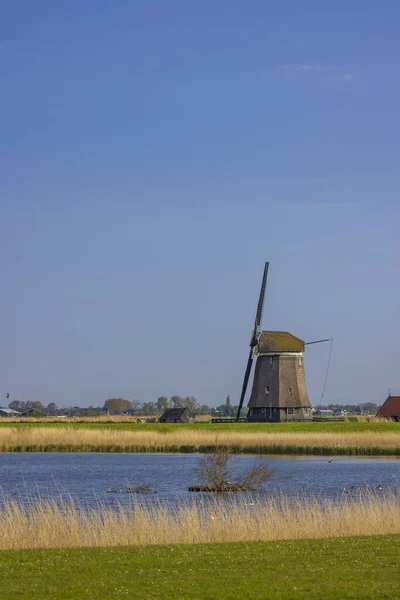 Old Windmill Alkmaar Netherlands — Foto Stock