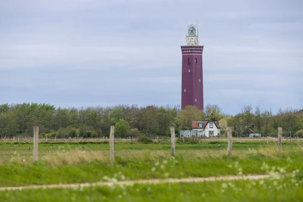 オランダのアウドルップ近くにあるウェストフォード灯台 Vuurtoren Westhoofd — ストック写真