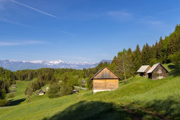 Typical Wooden Log Cabins Gorjuse Triglavski National Park Slovenia — Foto Stock