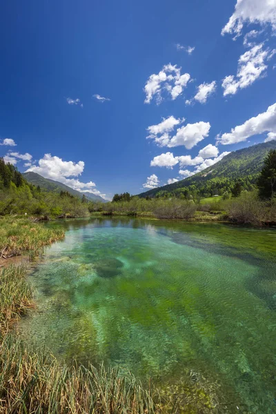 Spring Landscape Zelenci Slovenia — Stockfoto