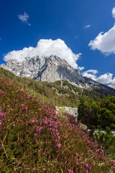 Landscape Vrsic Triglavski National Park Slovenia — Stock Photo, Image