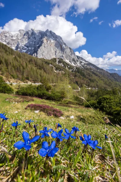 Τοπίο Κοντά Στο Vrsic Εθνικό Πάρκο Triglavski Σλοβενία — Φωτογραφία Αρχείου