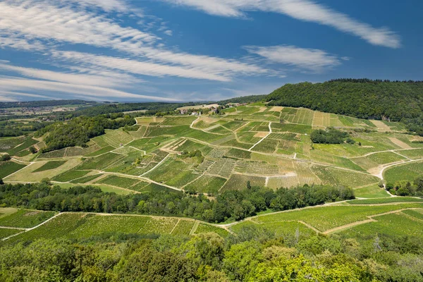Vineyards Chateau Chalon Department Jura Franche Comte France —  Fotos de Stock
