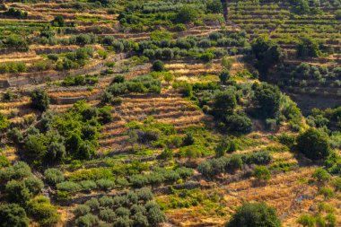 Sierra Nevada national park, Andalusia, Spain