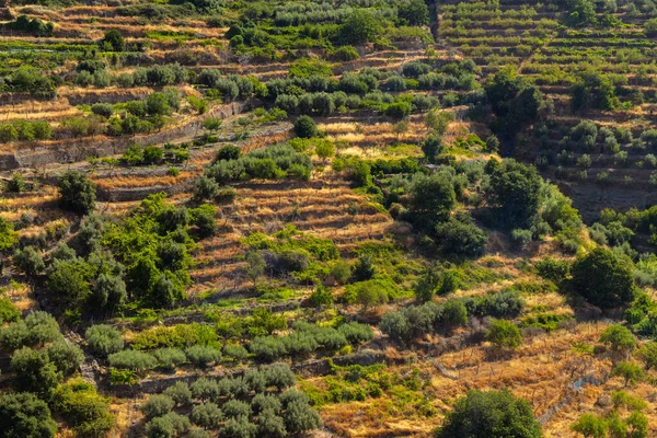 stock image Sierra Nevada national park, Andalusia, Spain