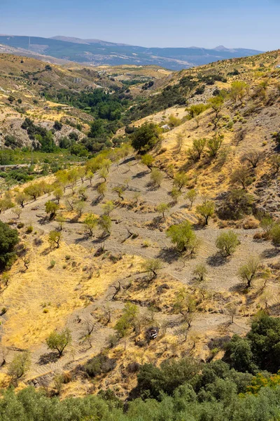 Sierra Nevada National Park Andalusia Spain — Stockfoto