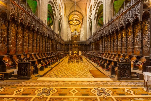 Cathedrale Sainte Marie Absolution Сайт Unesco Миди Пьес Франция — стоковое фото