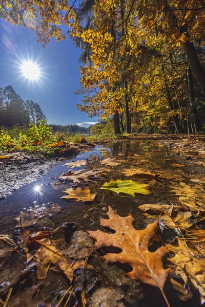 Typical Autumn Landscape Trebonsko Region Trebon City Southern Bohemia Czech — Photo