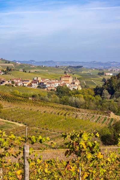 Jesienne Winnice Pobliżu Barolo Piemont Włochy — Zdjęcie stockowe