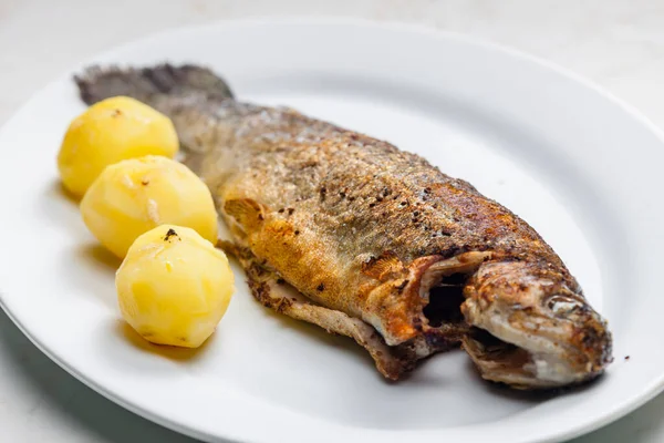 Grilled Trout Cooked Potatoes — Stock Photo, Image