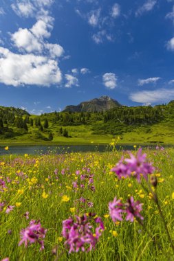 Kalbelesee yakınlarındaki manzara, Hochtann Dağı Geçidi, Warth, Vorarlberg, Avusturya