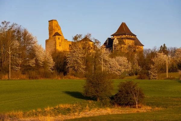 捷克共和国Vysocina地区Lipnice Nad Sap Org Ou城堡 — 图库照片