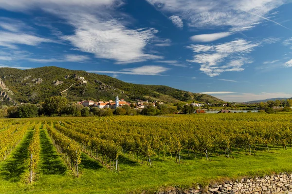 ユネスコの世界遺産 ドゥルンシュタイン近郊のワコー渓谷 ブドウ畑のある風景 オーストリア — ストック写真