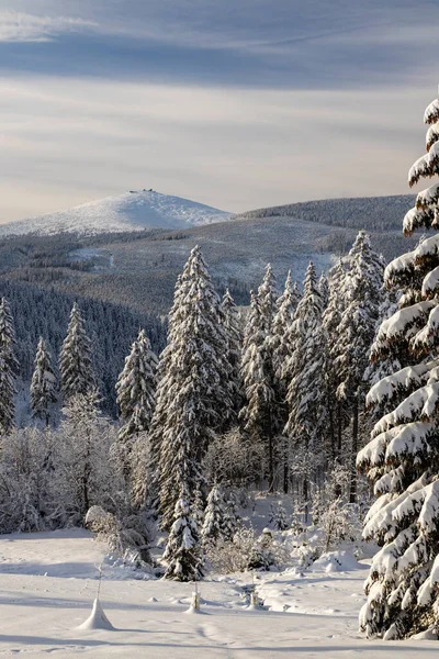 Vinterlandskap Med Snezka Giant Mountains Krkonose Norra Böhmen Tjeckien — Stockfoto