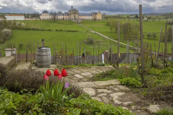 Small Vineyard Kuks Hospic Eastern Bohemia Czech Republic — Φωτογραφία Αρχείου