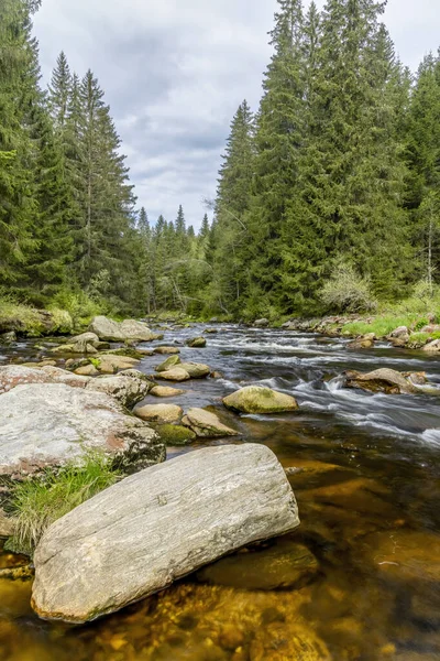 Sumava Ulusal Parkı 'ndaki Vydra Deresi, Çek Cumhuriyeti