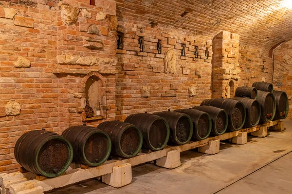 Rakvice Güney Moravya Çek Cumhuriyeti Nde Fıçıları Olan Şarap Mahzeni — Stok fotoğraf