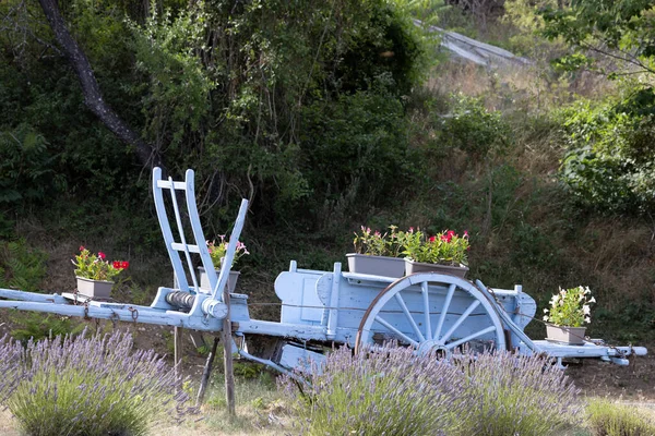 Blå Trävagn Med Lavenders Provence Frankrike — Stockfoto
