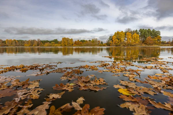 Lagoa Outono Perto Trebon Boêmia Sul República Checa — Fotografia de Stock