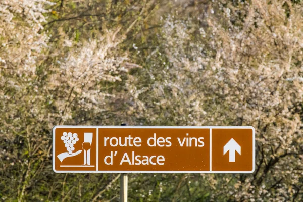 Droga Winna Pobliżu Colmar Alzacja Francja — Zdjęcie stockowe