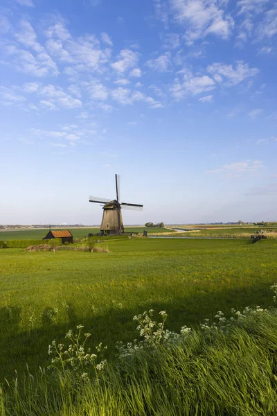 Molino Viento Noord Holland Países Bajos —  Fotos de Stock