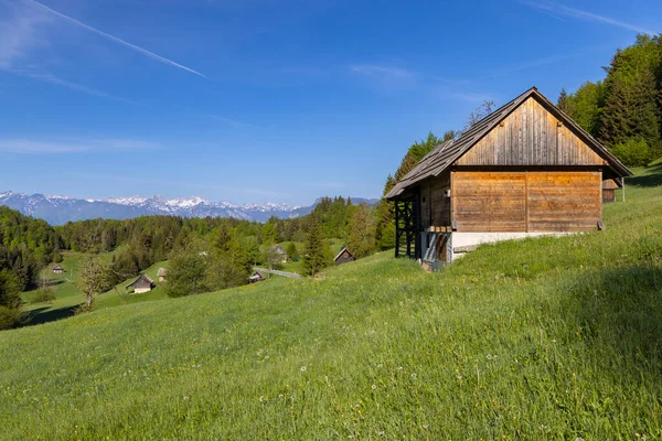 Typical Wooden Log Cabins Gorjuse Triglavski National Park Slovenia — Stock Photo, Image