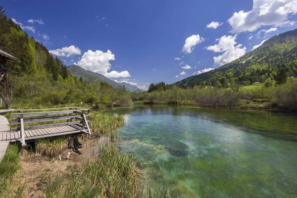 Spring Landscape Zelenci Slovenia — Stockfoto