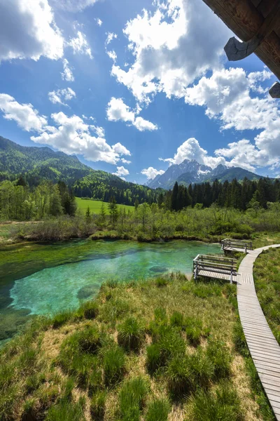 Spring Landscape Zelenci Slovenia — Stock fotografie