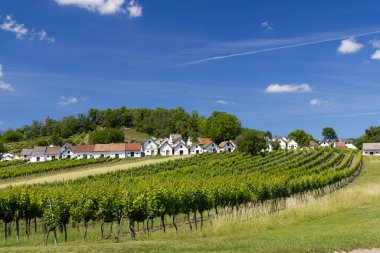 Traditional wine cellars with vineyard in Galgenberg near Wildendurnbach, Lower Austria, Austria