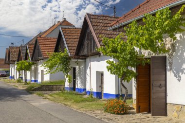 Traditional wine cellars in Blatnice pod Svatym Antoninkem, Slovacko, Southern Moravia, Czech Republic