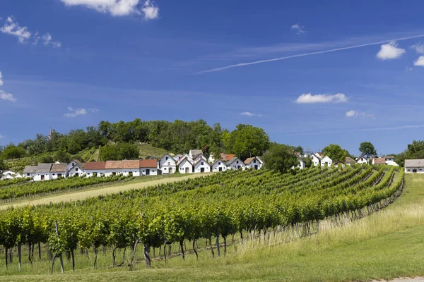 伝統的なワインセラーで ガルゲンベルクのワイルドバーンバッハ ローワー オーストリア オーストリアの近くにあります — ストック写真