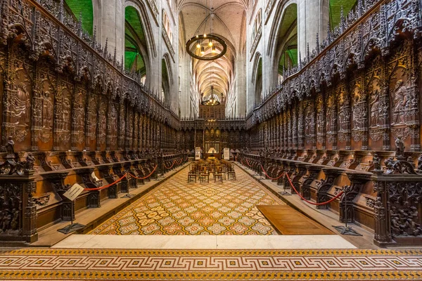 Auch Kathedrale Cathedrale Sainte Marie Auch Unesco Stätte Midi Pyrenäen — Stockfoto