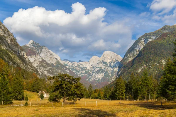 Krajina Národním Parku Triglavski Slovinsko — Stock fotografie
