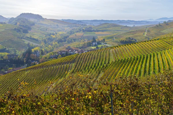 Vinhas Outonais Piemonte Itália — Fotografia de Stock