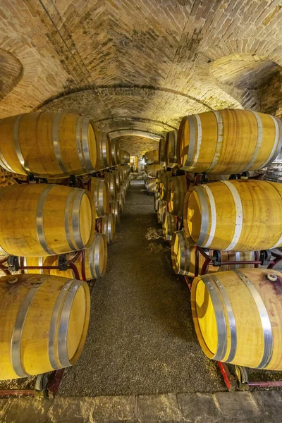Wine Cellar Castello Razzano Piedmont Italy — Foto Stock