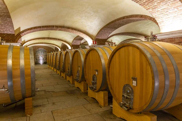Vinkällare Piemonte Italien — Stockfoto
