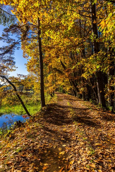 Typical Autumn Landscape Trebonsko Region Trebon City Southern Bohemia Czech — Photo