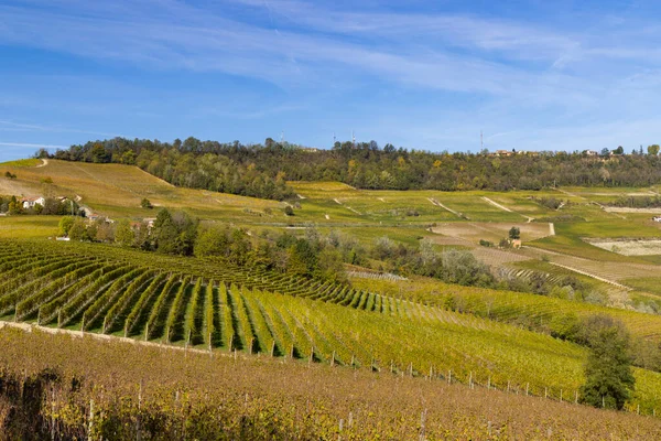 Sonbahar Üzüm Bağları Piedmont Talya — Stok fotoğraf