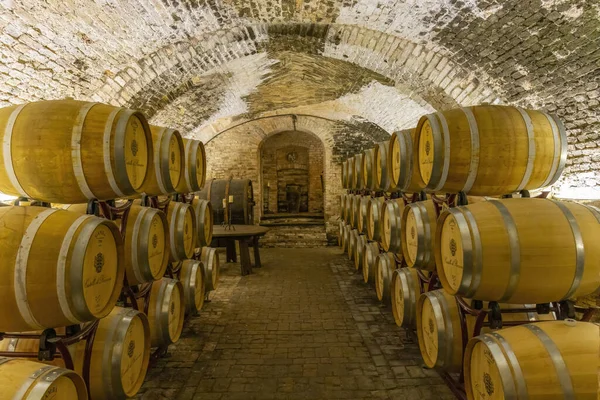 Wine Cellar Castello Razzano Piedmont Italy — Fotografia de Stock