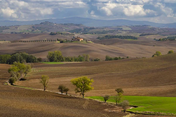 Typische Toskanische Landschaft Der Nähe Von Siena Toskana Italien — Stockfoto