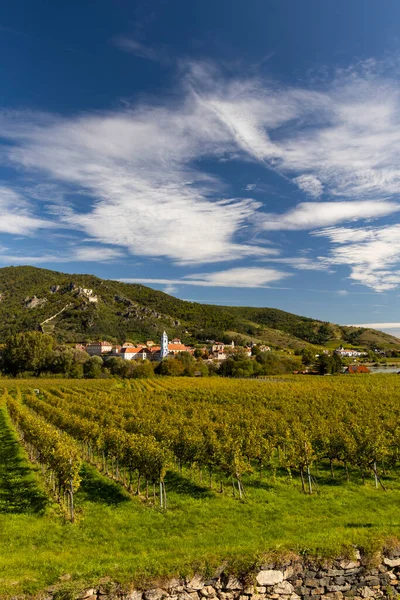 Wachau Vale Perto Durnstein Local Unesco Paisagem Com Vinhas Áustria — Fotografia de Stock
