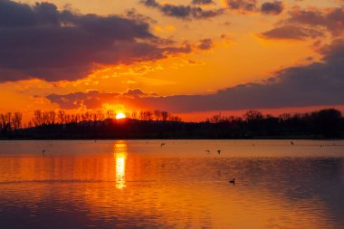 Rezabinec göleti, Güney Bohemya, Çek Cumhuriyeti