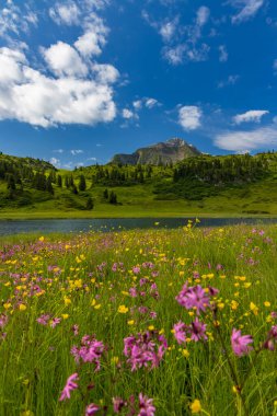 Kalbelesee yakınlarındaki manzara, Hochtann Dağı Geçidi, Warth, Vorarlberg, Avusturya
