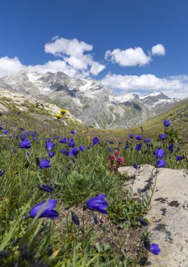 Col de l 'Iseran yakınlarındaki manzara, Savoy, Fransa