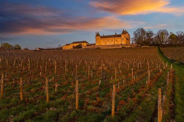 Замок Шато Рулли Департамент Сон Луар Бургундия Франция — стоковое фото