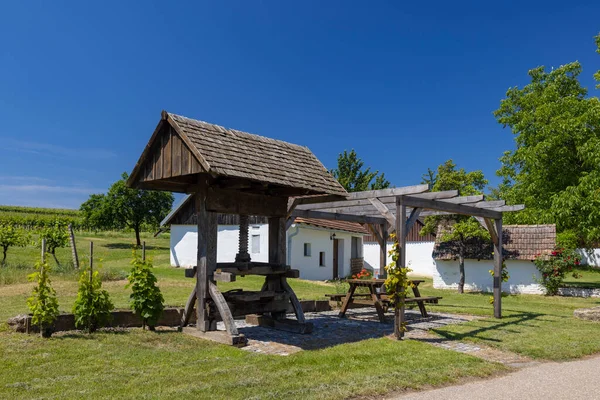 Traditionele Wijnkelderstraat Kellergasse Ketzelsdorf Bij Poysdorf Neder Oostenrijk Oostenrijk — Stockfoto