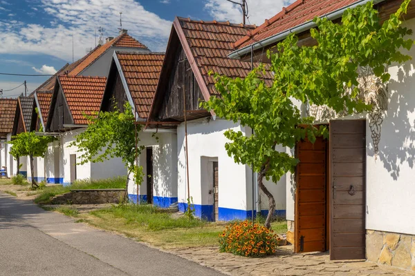 捷克共和国摩拉维亚南部斯洛伐克科Blatnice Pod Svatym Antoninkem的传统酒窖 — 图库照片