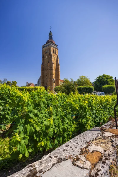 Vineyards Arbois Church Department Jura Franche Comte France — Fotografia de Stock