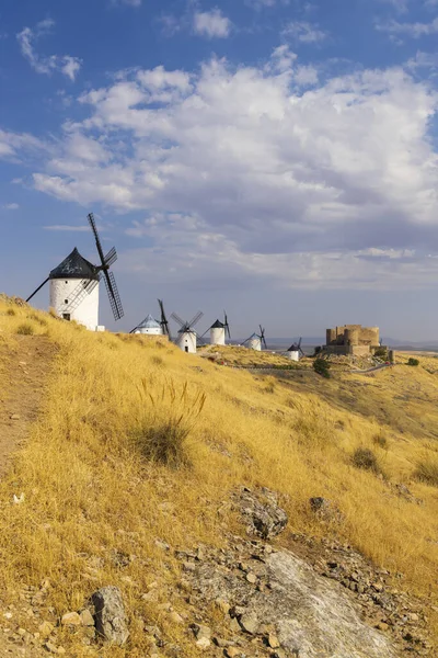 Windmills Castle Consuegra Castilla Mancha Spain — Stockfoto