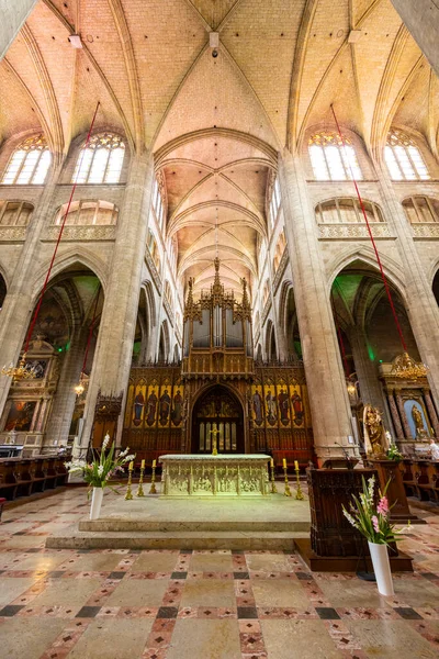 Tuomiokirkko Cathedrale Sainte Marie Auch Unesco Site Midi Pyrenees Ranska — kuvapankkivalokuva